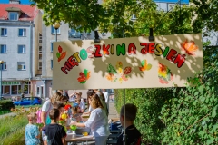 piknik_lw-35