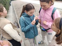Grupa dzieci rozwiązuje kolejne zadanie.
