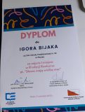 Dyplom ucznia za zajęcie pierwszego miejsca w konkursie.