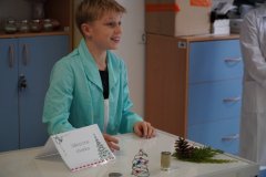 Stanowisko, na któym uczeń 8 klasy prezentuje "zakręconą choinkę", czyli urządzenie składające się z drutu w kształcie choinki, baterii i magnesu. Urządzenie to wykorzystuje siłę elektrodynamiczną, która powoduje, że choinka w ciekawy sposób kręci się dookoła baterii.