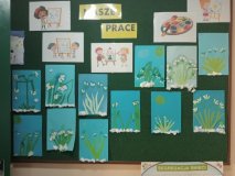 foto_16 tablica z zielonym tle, na której znajduje sie kilkanaście prac na niebieskich kartonach, na których dzieci samodzialnie wykonały (z zielonego papieru i waty kosmetycznej) przebiśniegi