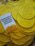 Żonkile z papieru wykonane przez uczniów należących do koła ,,Uskrzydleni”.