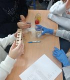 Przygotowywanie tęczy w próbówce przez uczniów.