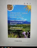Plakat w programie Canva na temat Dlaczego warto zdrowo