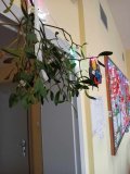 17_przyjazna_klasa_grudzien_2024_2025