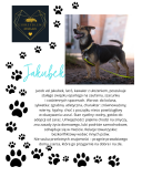 Grafika z psem o imieniu Jakubek, stojącym na smyczy na brukowanej nawierzchni. Po prawej znajduje się jego zdjęcie, a obok logo klubu i opis jego cech oraz preferencji adopcyjnych. Całość ozdobiona motywami łap.