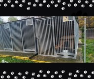 Widok na zewnętrzne boksy schroniska. W środku jednego z nich leży pies obok budy, a na podłodze stoją miski na wodę i jedzenie.