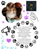 Grafika z kotką o imieniu Pantera (Panti), z jej zdjęciem w kształcie kwiatka oraz tekstem opisującym jej lękliwy charakter i przeszłość. Obok widnieje logo klubu i ozdobne ilustracje łapek oraz serc.