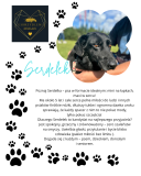Grafika przedstawia psa o imieniu Serdelek, trzymanego na rękach przez osobę poza kadrem. Obok jego portretu umieszczono logo klubu oraz tekst opisujący jego łagodny charakter i umiejętności.