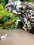 Praca uczniów - miniaturowa postać pieska na tle wielkiej fotografii żaby.