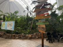 Widok wnętrza Tropical Islands – palmy, drewniany drogowskaz z nazwami egzotycznych wysp.
